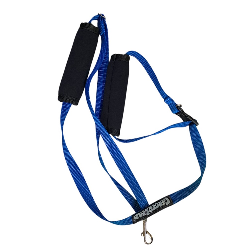 GingerLead Support Harness leash